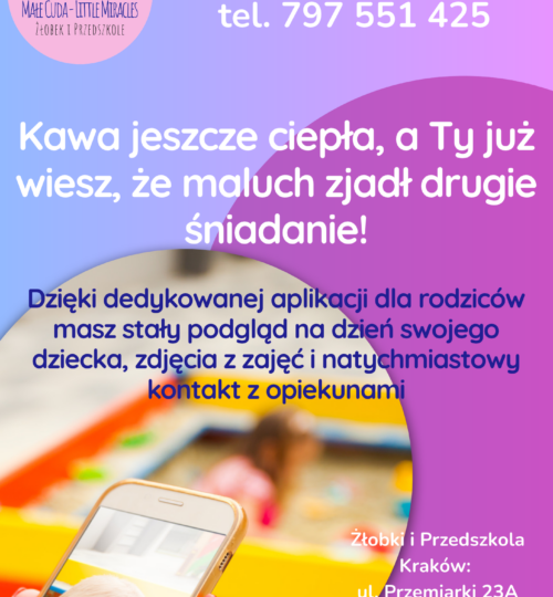 Dwujęzyczny Niepubliczny Żłobek Małe Cuda Czyżyny, Nowa Huta