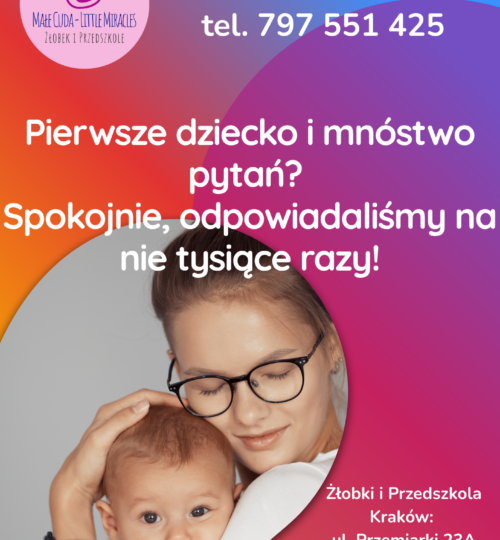 Dwujęzyczny Niepubliczny Żłobek Małe Cuda Czyżyny, Nowa Huta
